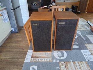 Altavoces Vintage Celestion 10 con REGALO