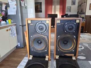 Altavoces Vintage Celestion 10 con REGALO