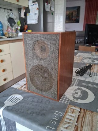 Altavoces Vintage Celestion 10 con REGALO