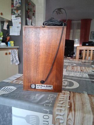 Altavoces Vintage Celestion 10 con REGALO