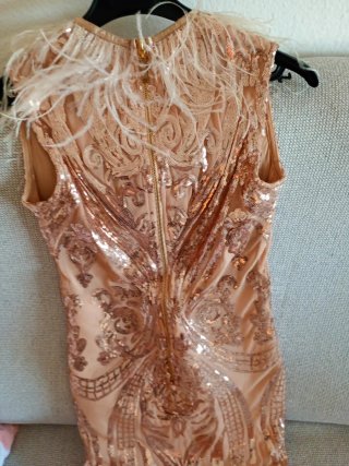 Vestido lentejuelas y plumas Tolen