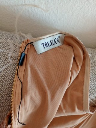 Vestido lentejuelas y plumas Tolen