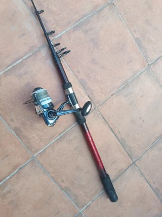 Caña de pescar telescópica con carrete