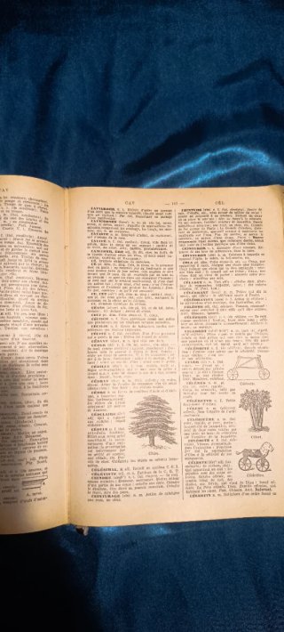 Dictionnaire Larousse Illustré Diccionario Antiguo