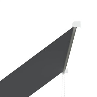 Toldo Retráctil Exterior Aluminio Negro