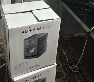 Monitores Focal Alpha 65 Evo (Negro)