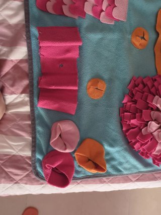 Coperta educativa per cani