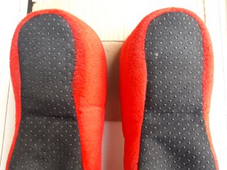 Pantuflas Zueco Holanda Amsterdam