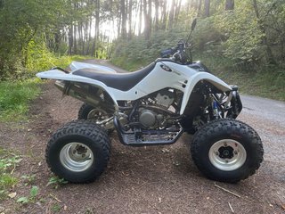 Suzuki LTZ 400 2006