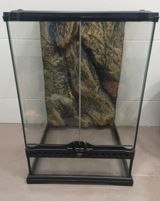Terrario de cristal con fondo rocoso