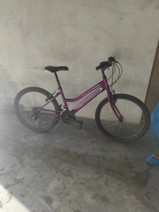 Bicicleta Morada