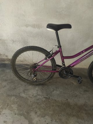 Bicicleta Morada