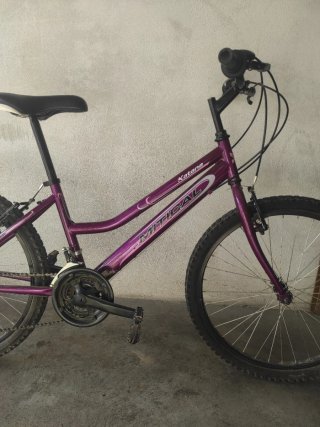 Bicicleta Morada