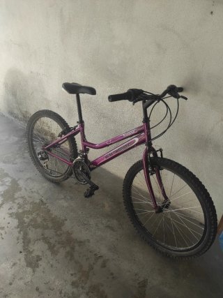 Bicicleta Morada