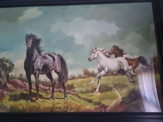 Cuadro « CABALLOS«