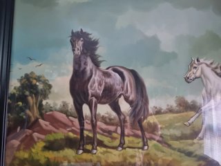 Cuadro « CABALLOS«