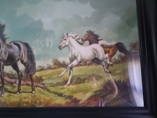 Cuadro « CABALLOS«