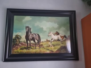 Cuadro « CABALLOS«