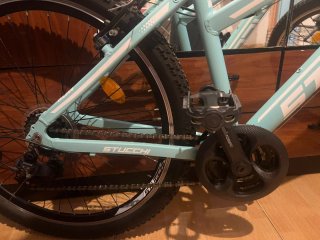 Bicicleta Mint Poco Uso