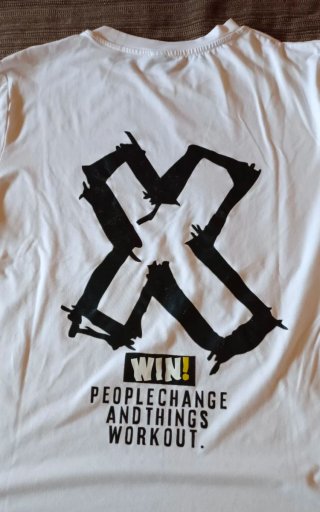 Lote 2 Camisetas Estampadas