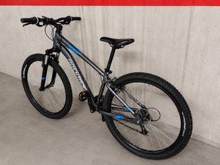 Bicicleta Montaña adulto