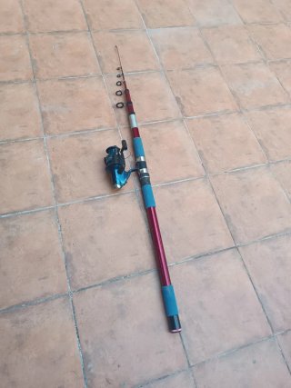 Caña de pescar Mitchell Captain 420