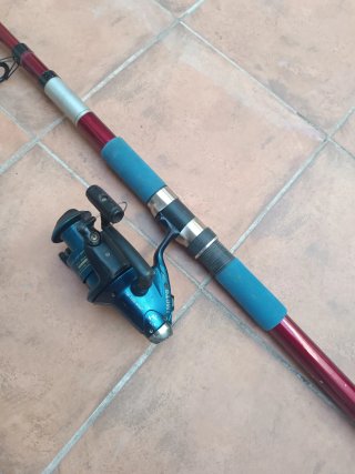 Caña de pescar Mitchell Captain 420
