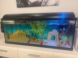 Acuario Negro con Decoración y Peces
