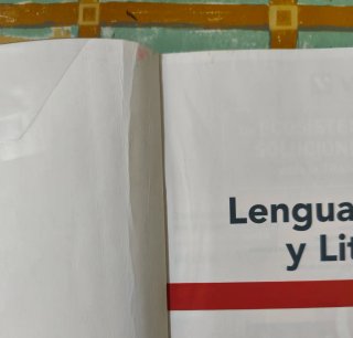 LIBRO LENGUA CASTELLANA Y LITERATURA 3 ESO. VICENS