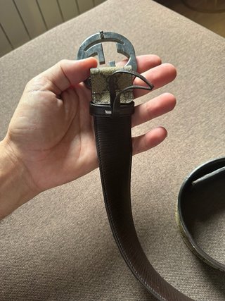 Cintura Gucci GG Fibbia Argentata Marrone