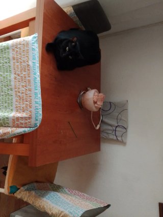 Mesa de comedor de madera