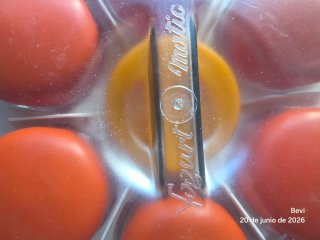 Yogurtera ARFE Yogurt-Matic Vintage