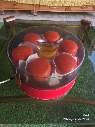 Yogurtera ARFE Yogurt-Matic Vintage