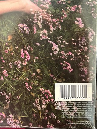 Vinilo Olivia Rodrigo You seem pretty sad