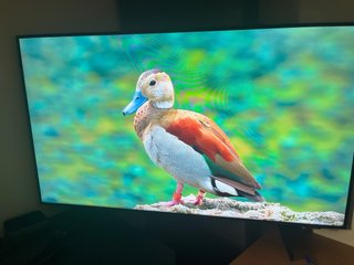 Samsung 50” 4K UHD | Alexa, AirPlay y Smart TV