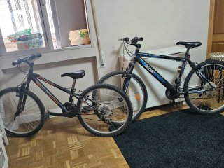 Bicicleta BASICSPORT Negra y Naranja