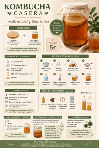 Kit Kombucha Casera: SCOBY + Líquido Iniciador