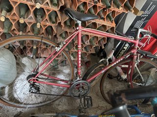 Bicicletas, 25€ por unidad