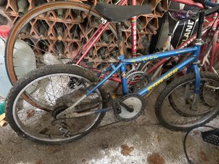 Bicicletas, 25€ por unidad