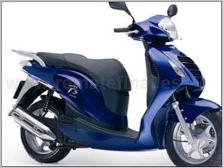 Correa Honda 125 cc Scoopy SH, Dylan, PS