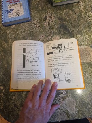 Libros adolescentes el diari de greg
