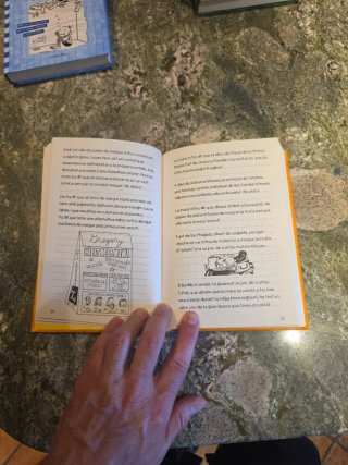 Libros adolescentes el diari de greg