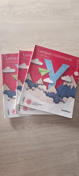 Lengua castellana, 5 Primaria