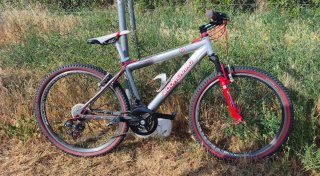 Bicicleta Boomerang Montaña Plata