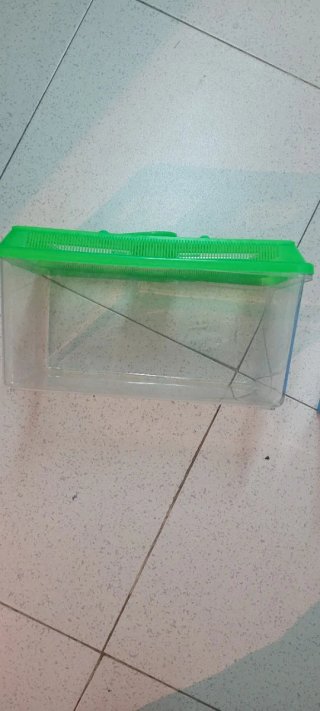Terrario verde con ventanas transparentes