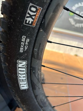 Canyon Spectral 2024