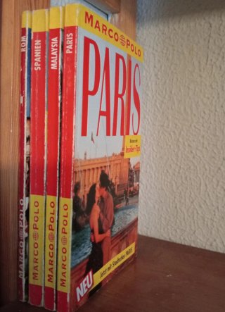 Lote de 9 libros guía de viajes.