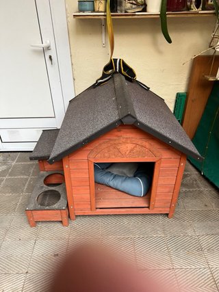 Casetta per cani in perfette condizioni