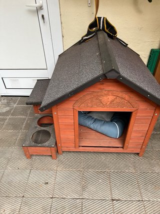 Casetta per cani in perfette condizioni