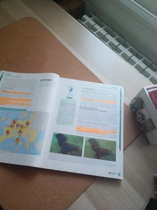 Geografia programa Nellie Bly 2 bachillerato